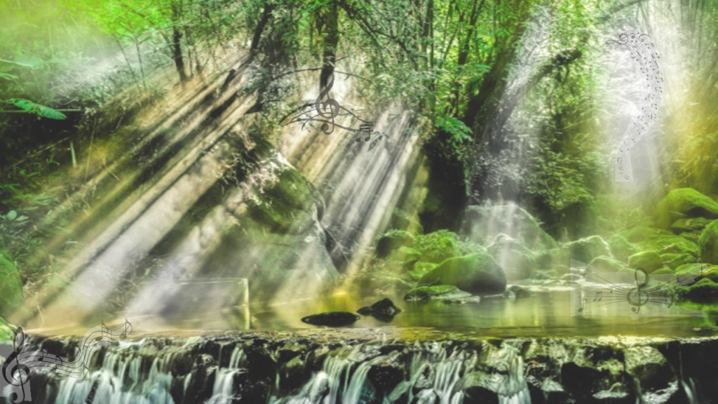 Music, forest and light